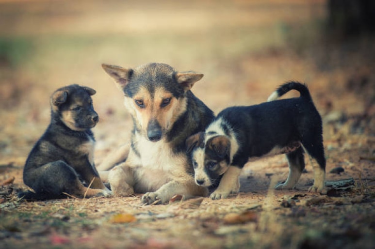gettyimages-1468699178-612x612.jpg