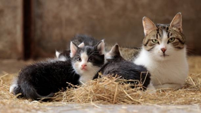 gettyimages-1328677078-612x612.jpg